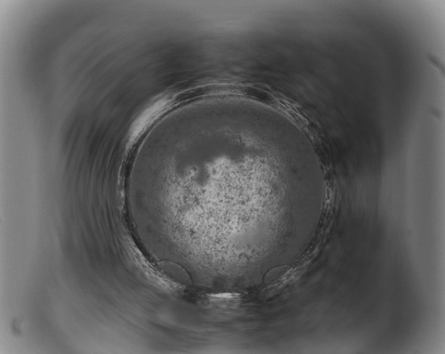 X0000099530053200805231112