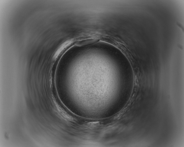 X0000099530054200805231112