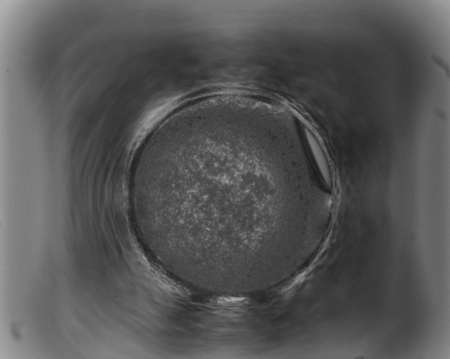 X0000099530055200805231112
