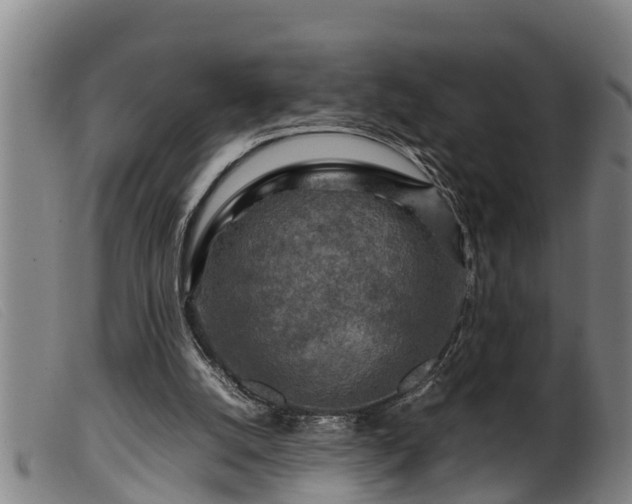 X0000099530056200805231112