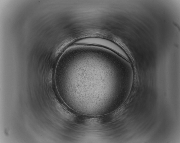 X0000099530058200805231112