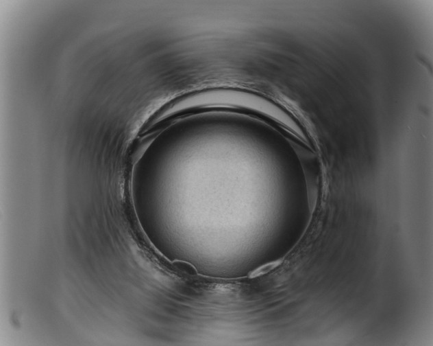 X0000099530060200805231112