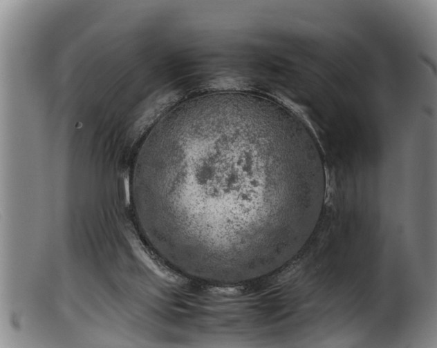 X0000099530061200805231112