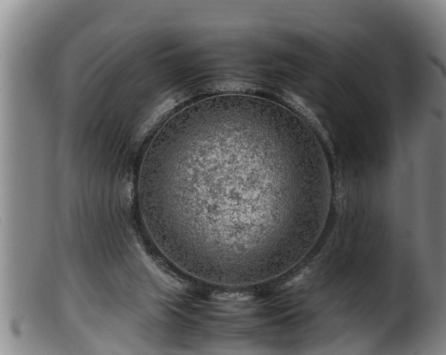 X0000099530063200805231112
