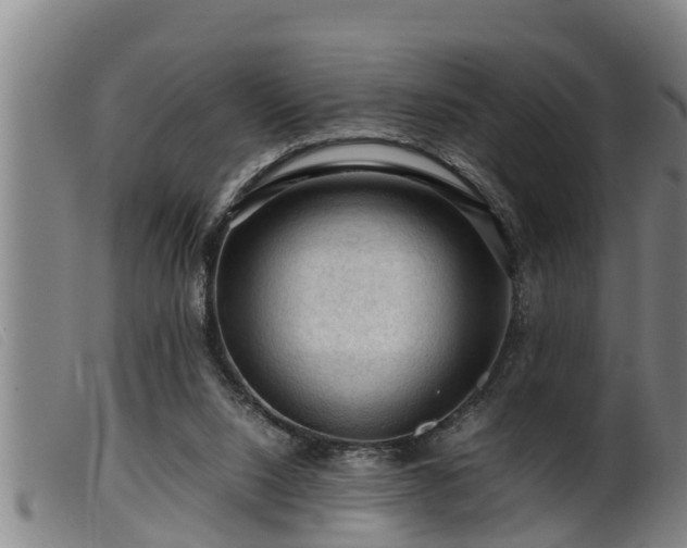 X0000099530064200805231112