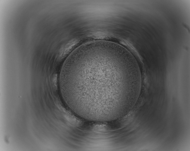 X0000099530066200805231112