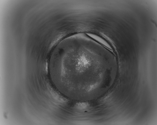 X0000099530067200805231112