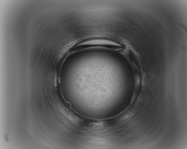 X0000099530068200805231112