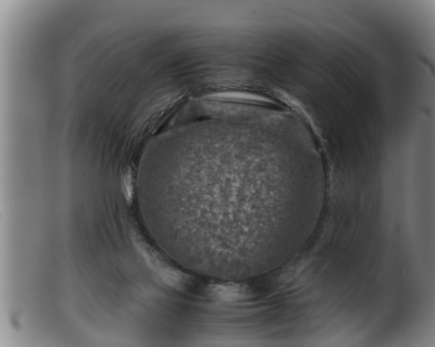 X0000099530069200805231112