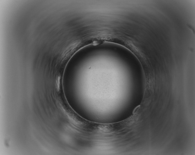 X0000099530070200805231112