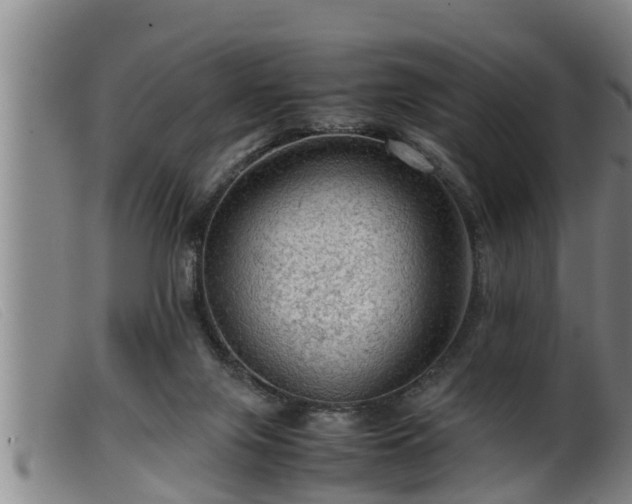 X0000099530071200805231112