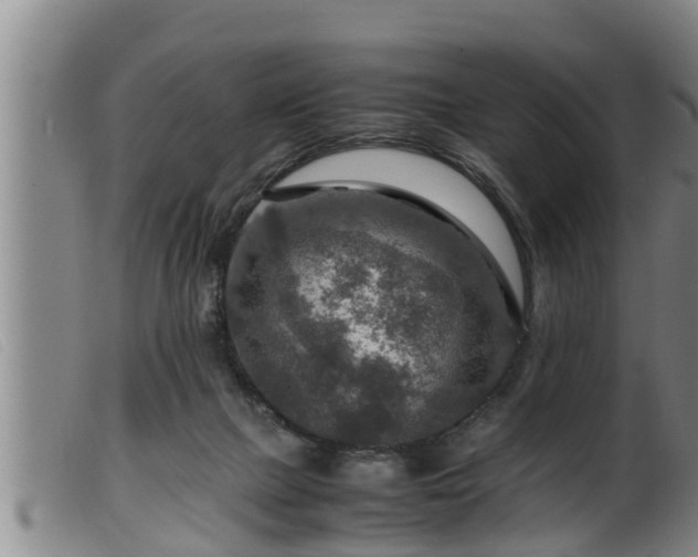 X0000099530073200805231112