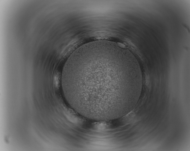 X0000099530074200805231112
