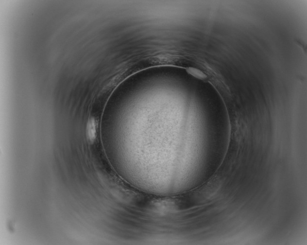 X0000099530075200805231112