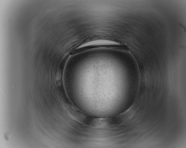 X0000099530082200805231112