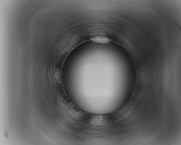 X0000099530083200805231112