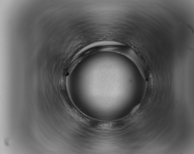 X0000099530084200805231112
