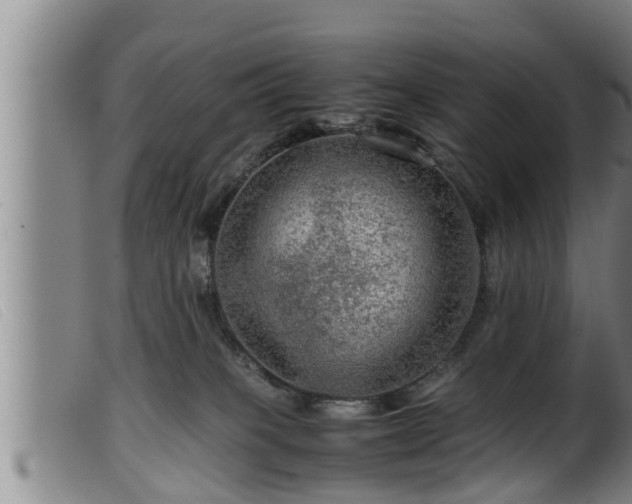 X0000099530085200805231112