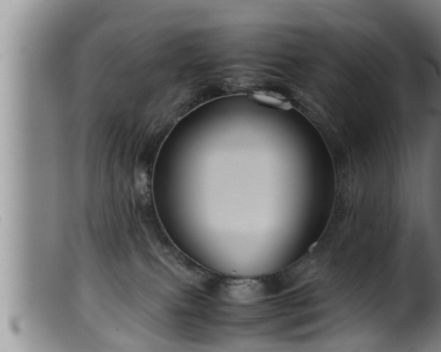 X0000099530087200805231112