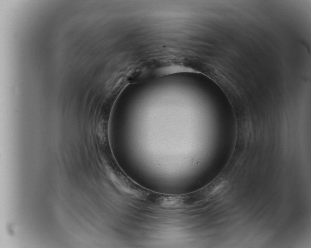 X0000099530088200805231112