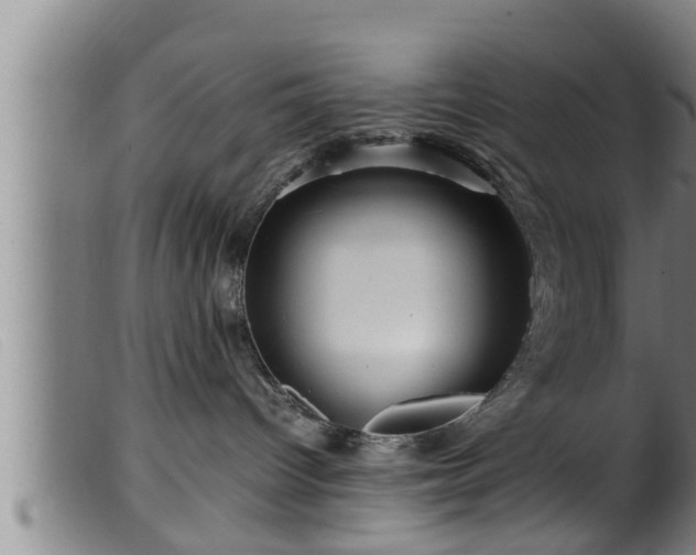 X0000099530096200805231112