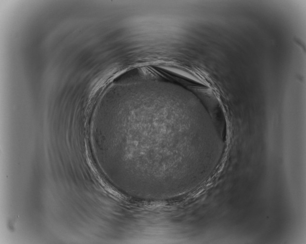 X0000099530097200805231112