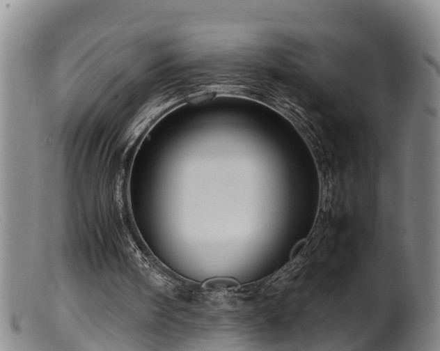 X0000099530098200805231112