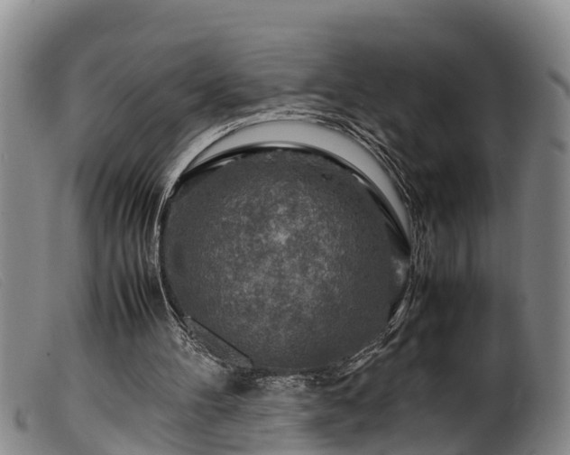 X0000099530100200805231112