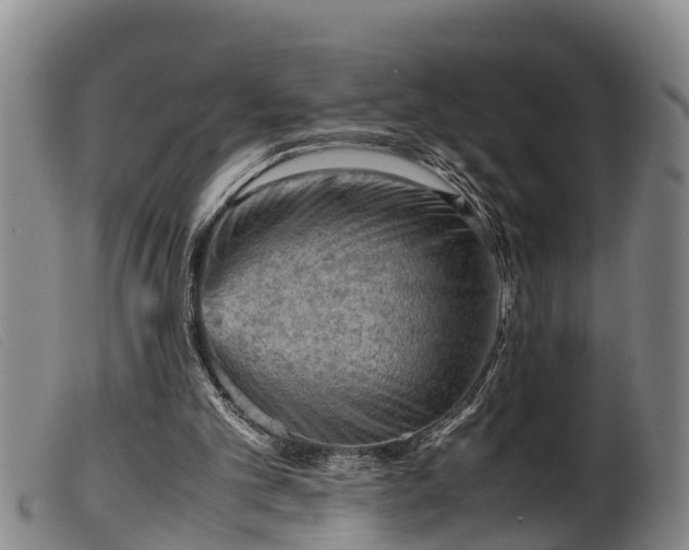 X0000099530101200805231112