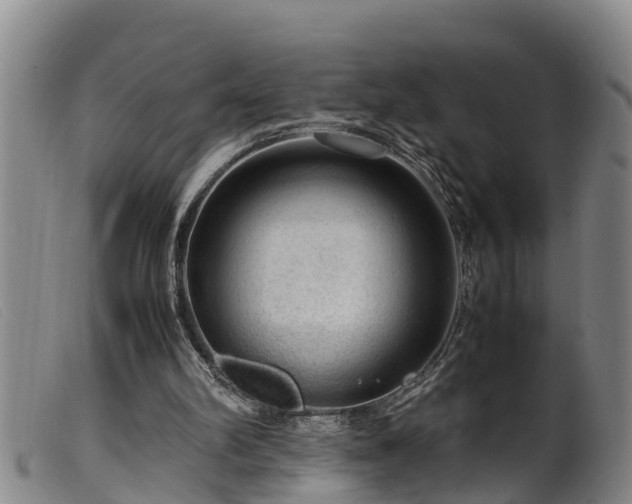 X0000099530102200805231112