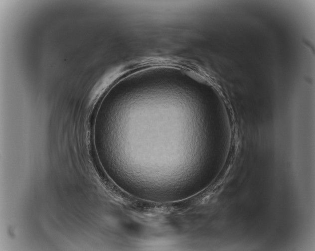 X0000099530103200805231111