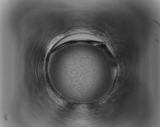 X0000099530104200805231111