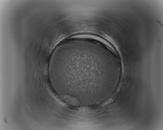 X0000099530105200805231111