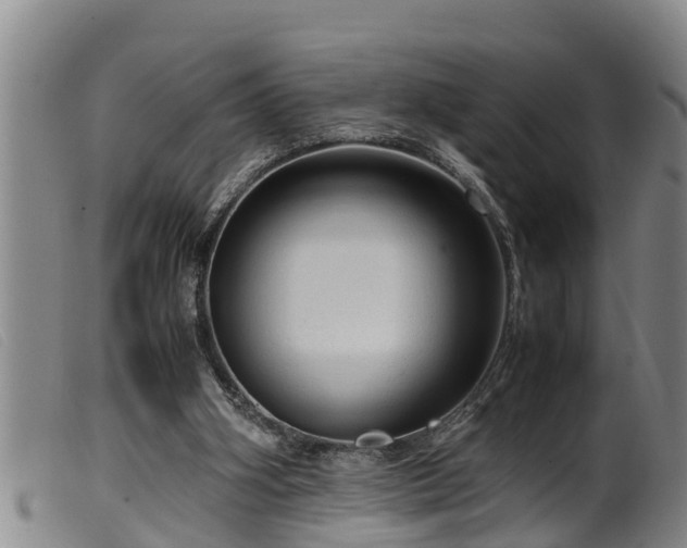 X0000099530106200805231111