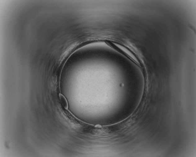 X0000099530107200805231111