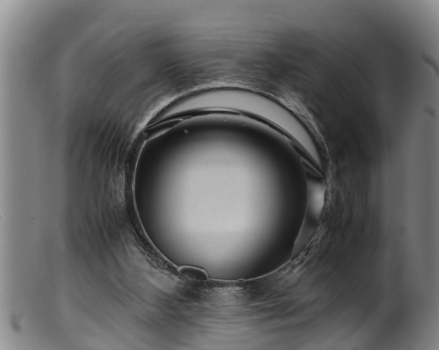 X0000099530108200805231111