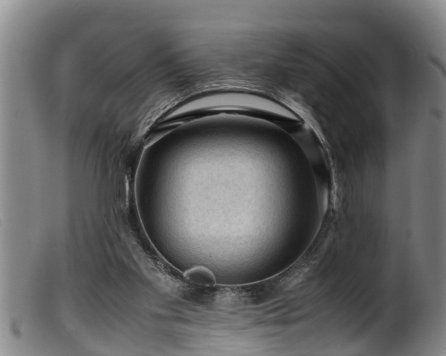 X0000099530109200805231111