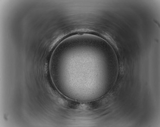 X0000099530111200805231111