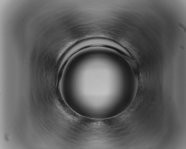 X0000099530112200805231111