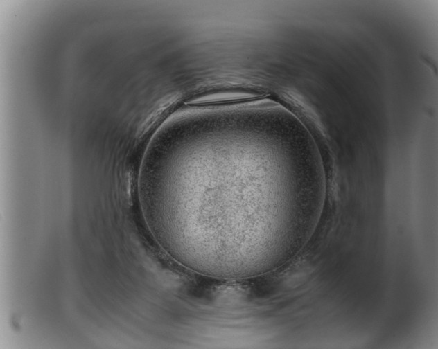 X0000099530115200805231111