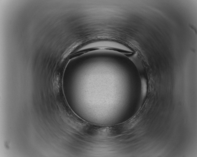 X0000099530116200805231111