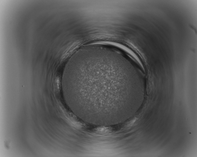 X0000099530117200805231111