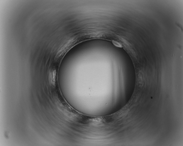 X0000099530118200805231111