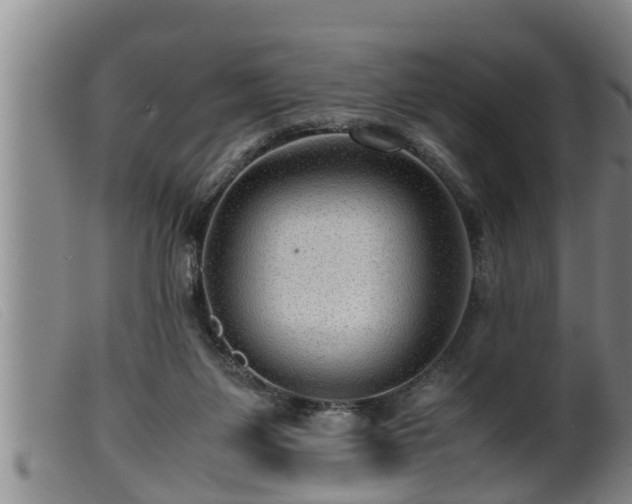 X0000099530119200805231111