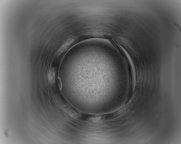 X0000099530120200805231111