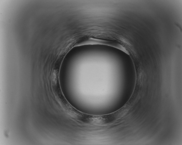 X0000099530121200805231111