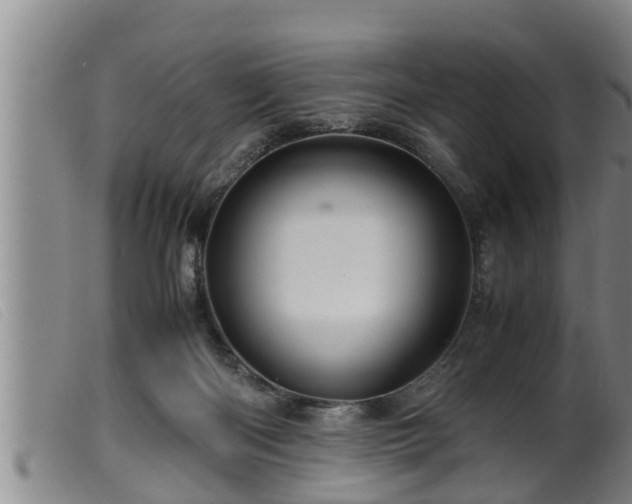 X0000099530122200805231111