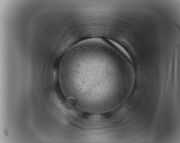 X0000099530123200805231111