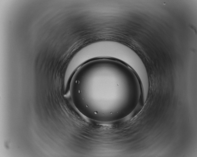X0000099530124200805231111