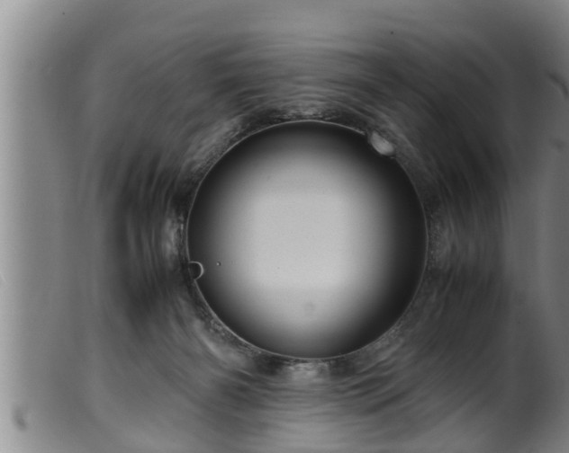 X0000099530126200805231111
